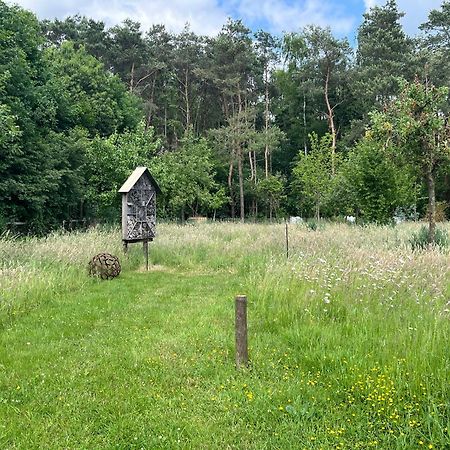Logies Tuin Der Zinnen Rijkevorsel Εξωτερικό φωτογραφία
