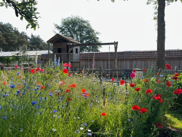 Logies Tuin Der Zinnen Rijkevorsel Εξωτερικό φωτογραφία