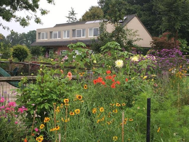 Logies Tuin Der Zinnen Rijkevorsel Εξωτερικό φωτογραφία
