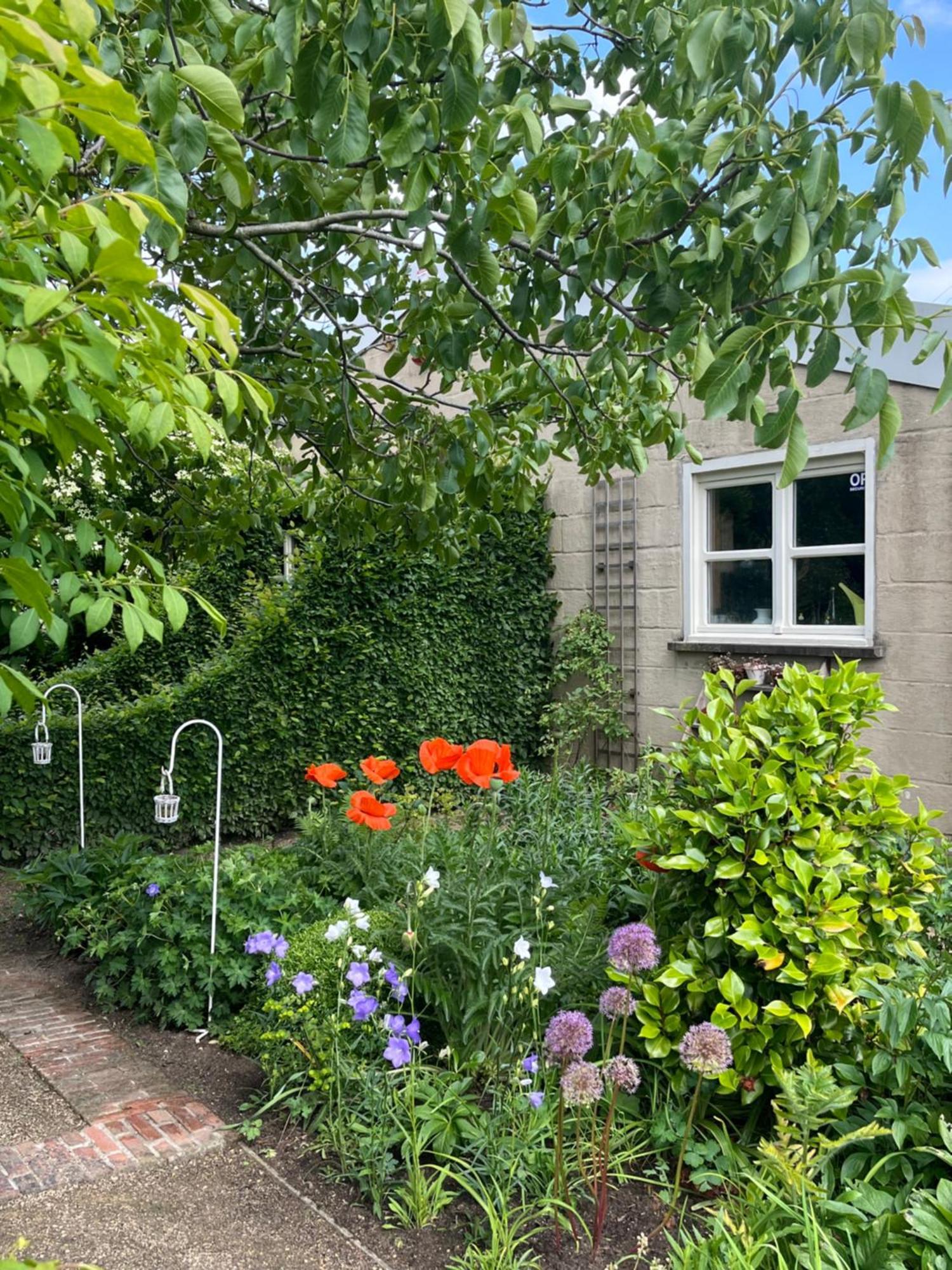 Logies Tuin Der Zinnen Rijkevorsel Εξωτερικό φωτογραφία