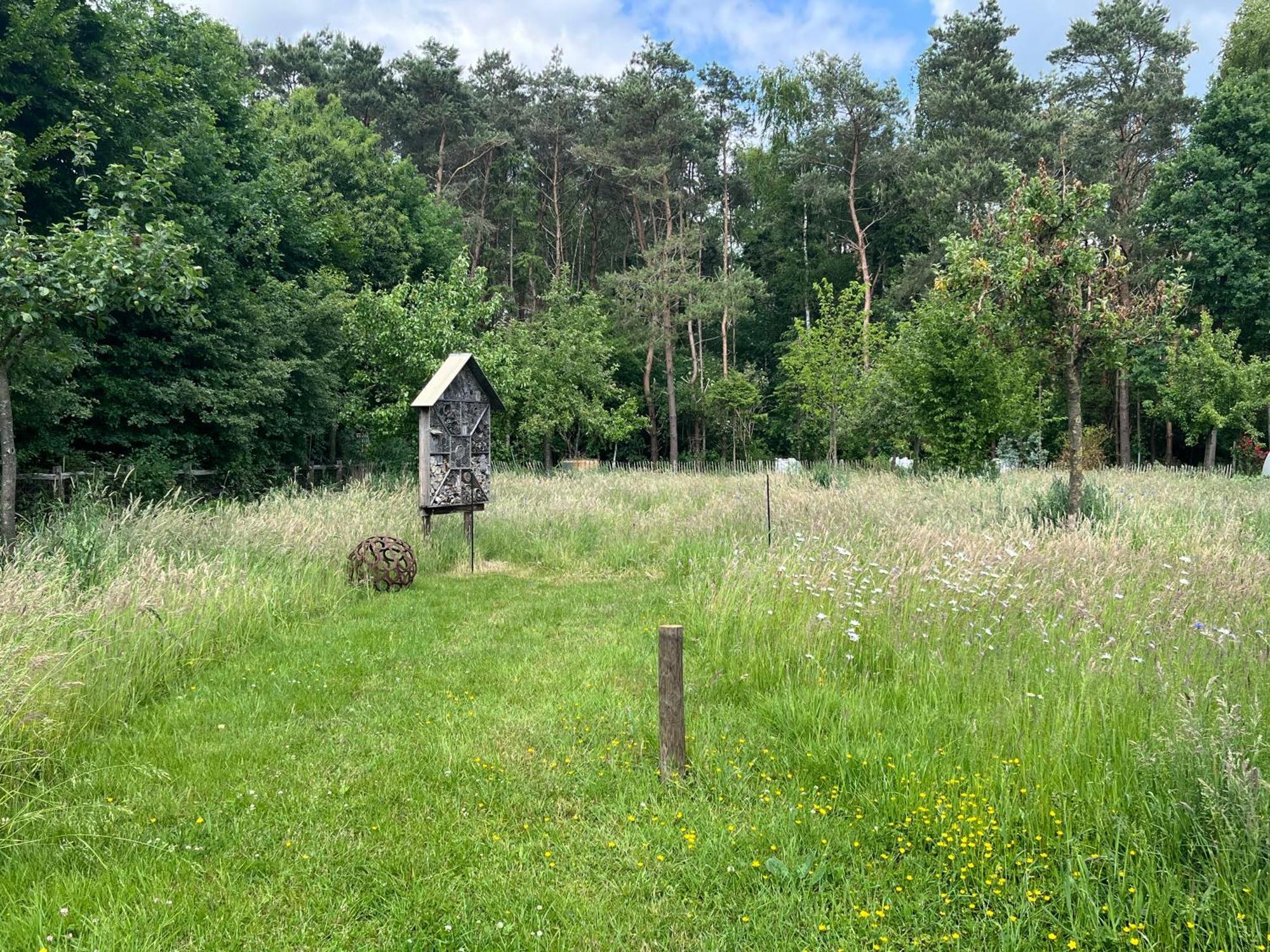Logies Tuin Der Zinnen Rijkevorsel Εξωτερικό φωτογραφία