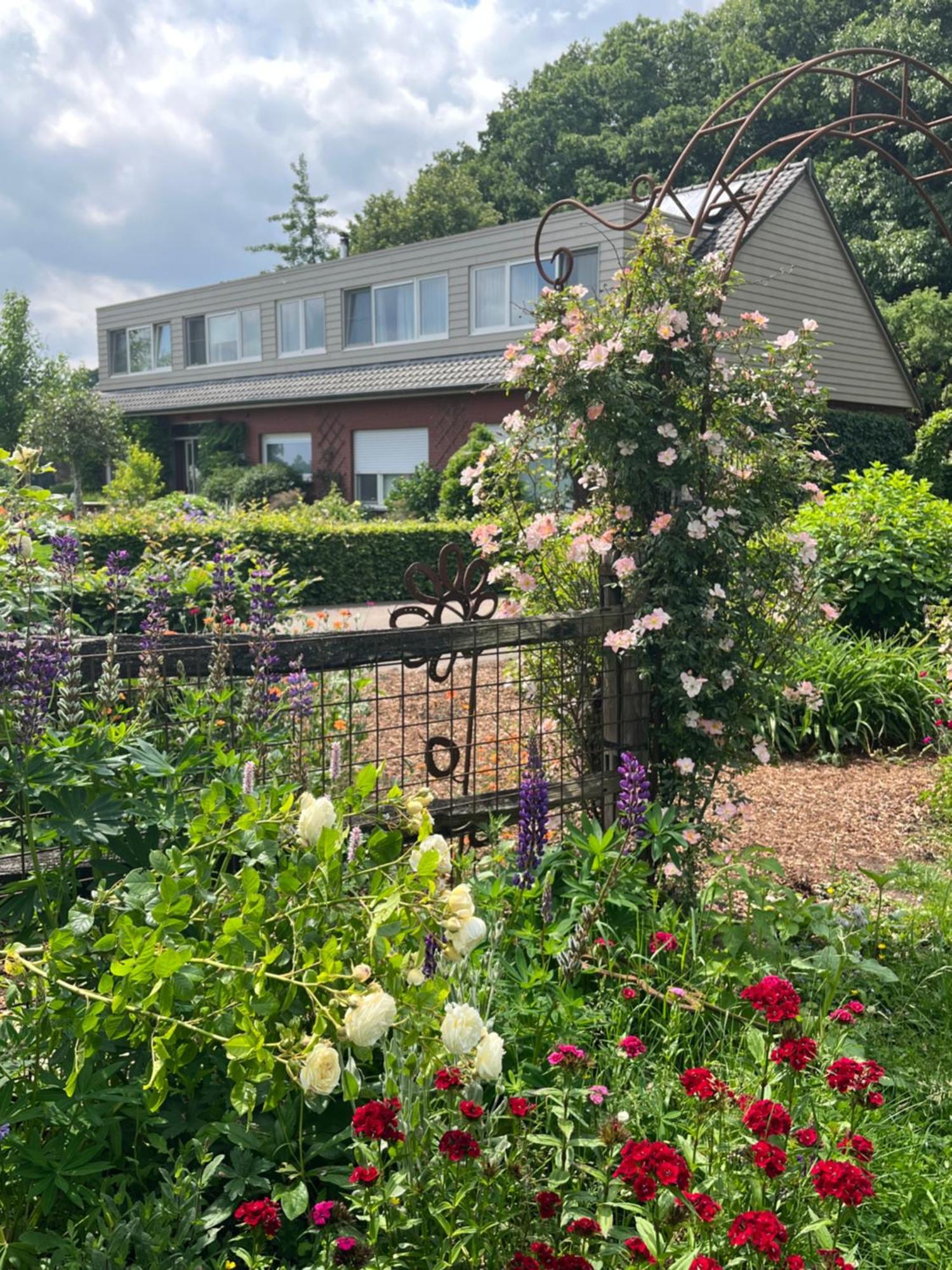 Logies Tuin Der Zinnen Rijkevorsel Εξωτερικό φωτογραφία
